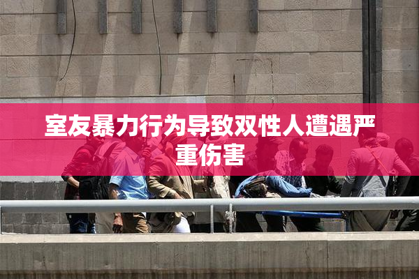 室友暴力行为导致双性人遭遇严重伤害