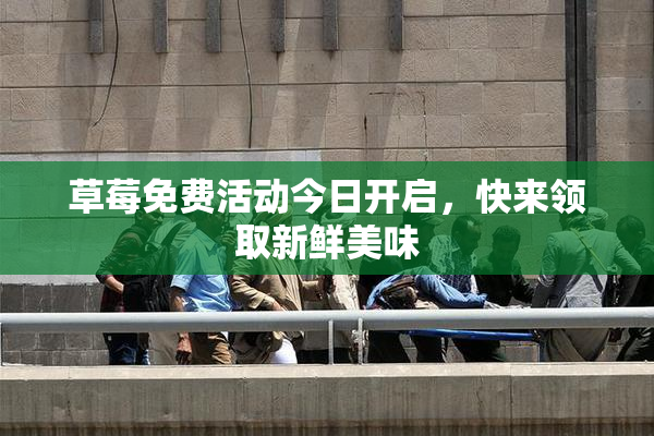 草莓免费活动今日开启，快来领取新鲜美味