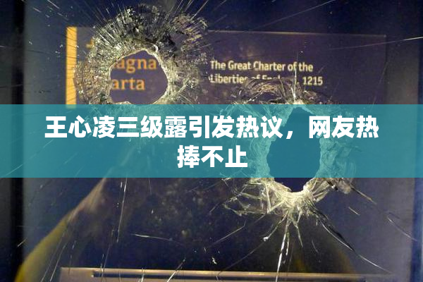 王心凌三级露引发热议，网友热捧不止