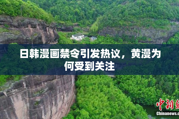 日韩漫画禁令引发热议，黄漫为何受到关注