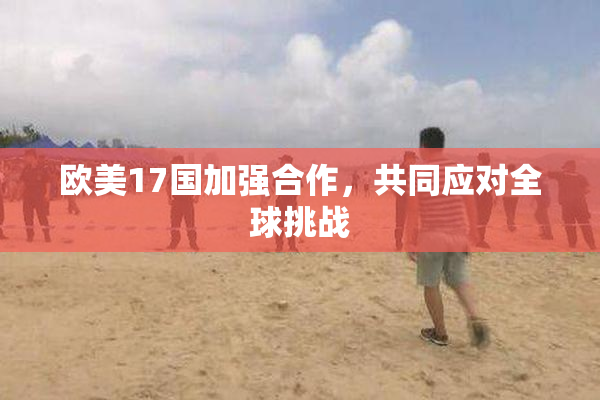 欧美17国加强合作，共同应对全球挑战