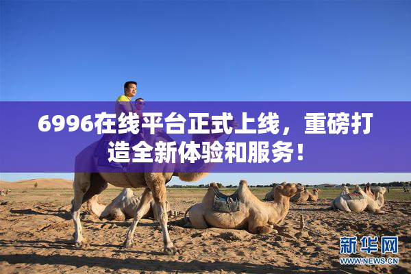 6996在线平台正式上线，重磅打造全新体验和服务！