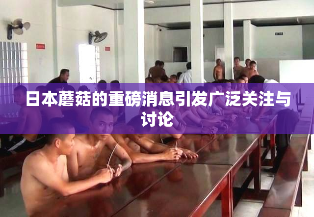 日本蘑菇的重磅消息引发广泛关注与讨论