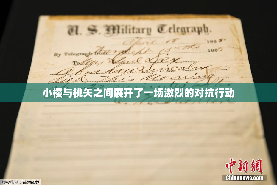 小樱与桃矢之间展开了一场激烈的对抗行动