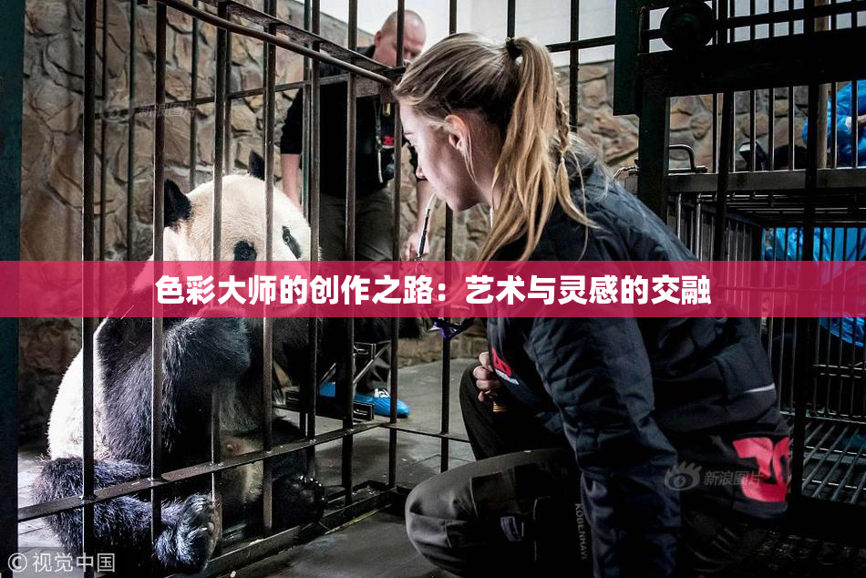 色彩大师的创作之路：艺术与灵感的交融