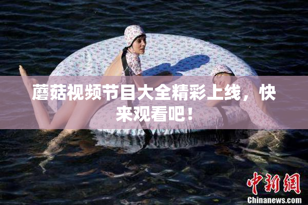 蘑菇视频节目大全精彩上线，快来观看吧！
