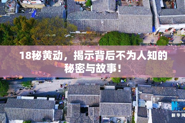 18秘黄动，揭示背后不为人知的秘密与故事！