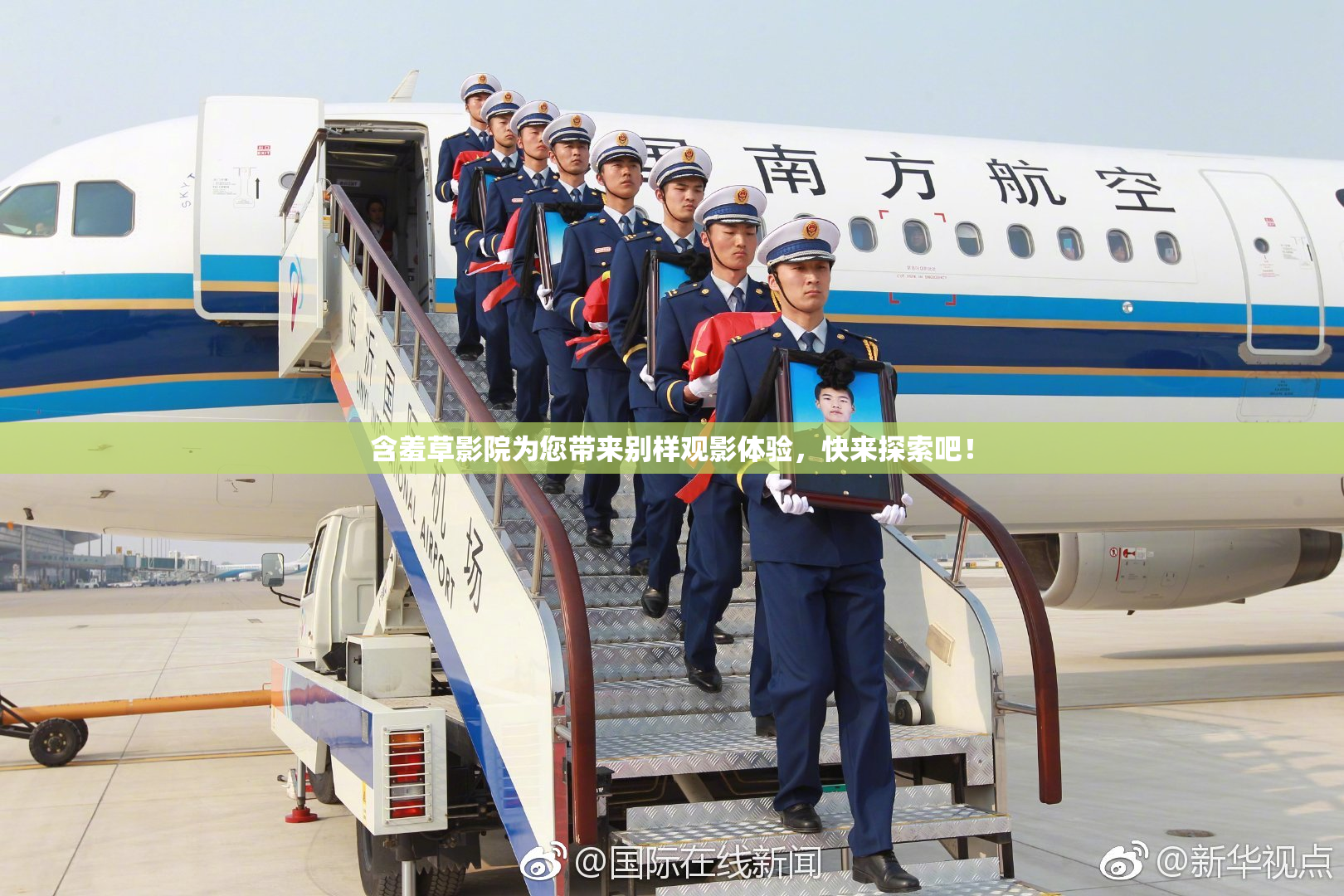 含羞草影院为您带来别样观影体验，快来探索吧！