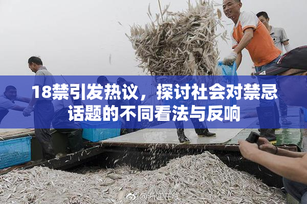 18禁引发热议，探讨社会对禁忌话题的不同看法与反响