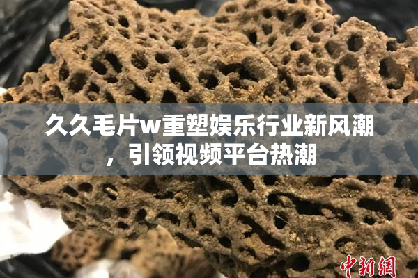 久久毛片w重塑娱乐行业新风潮，引领视频平台热潮
