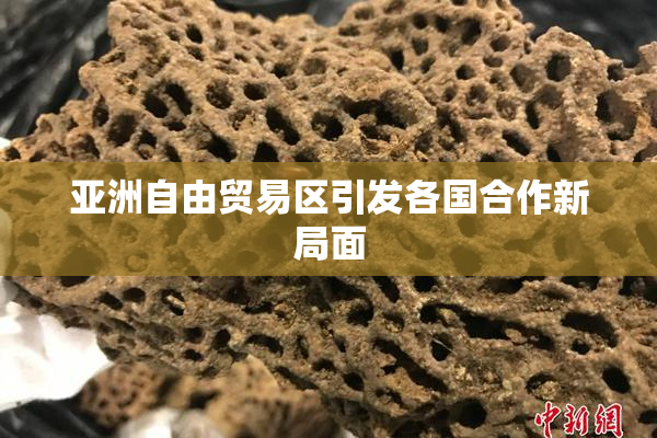 亚洲自由贸易区引发各国合作新局面