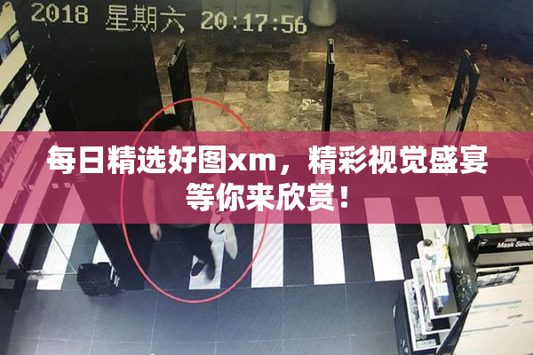 每日精选好图xm，精彩视觉盛宴等你来欣赏！
