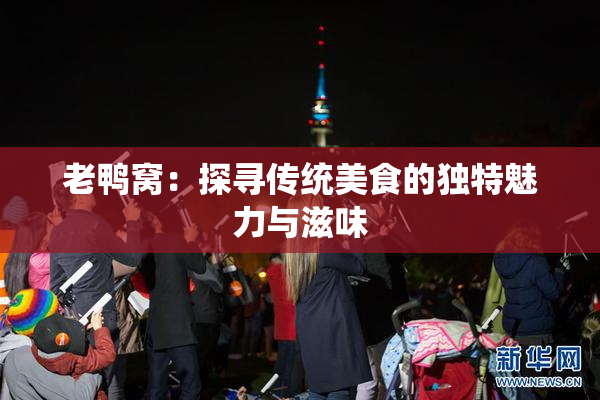 老鸭窝：探寻传统美食的独特魅力与滋味