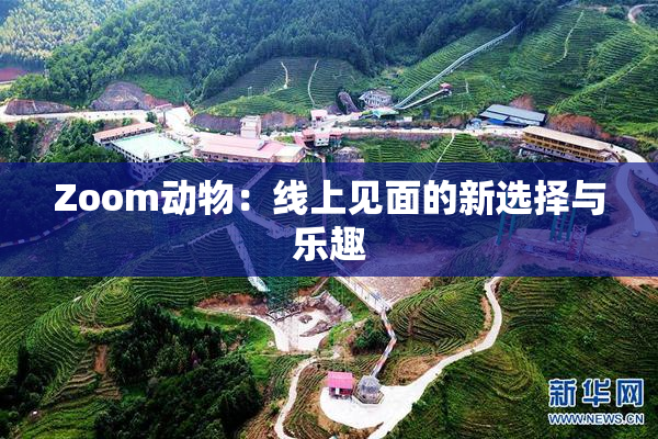 Zoom动物：线上见面的新选择与乐趣