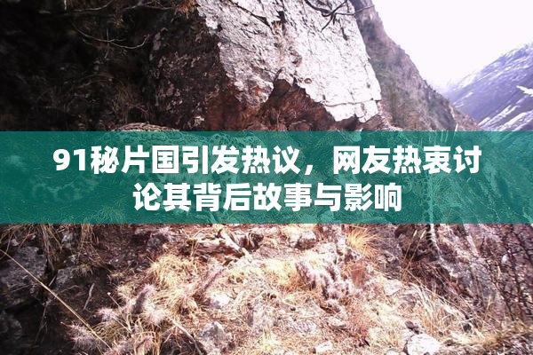 91秘片国引发热议，网友热衷讨论其背后故事与影响