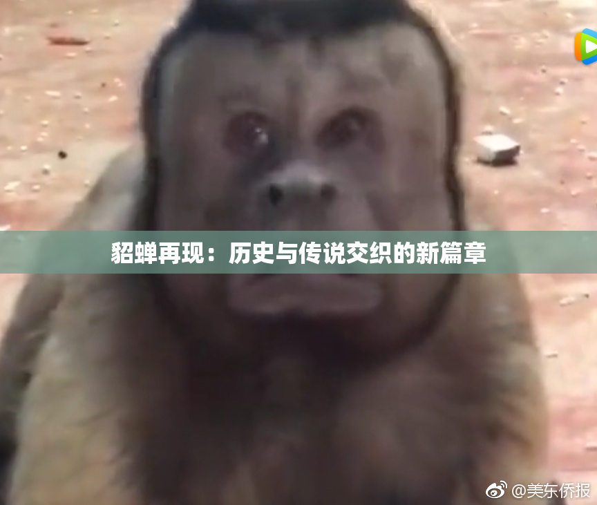 貂蝉再现：历史与传说交织的新篇章