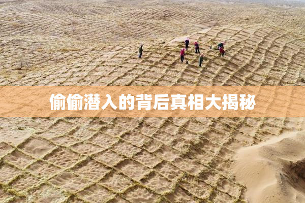 偷偷潜入的背后真相大揭秘