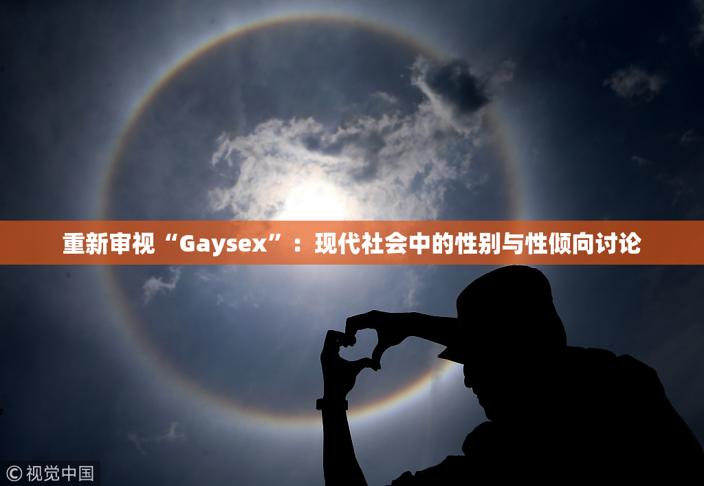 重新审视“Gaysex”：现代社会中的性别与性倾向讨论