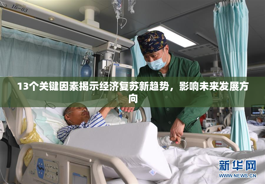 13个关键因素揭示经济复苏新趋势，影响未来发展方向