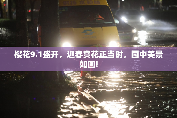 樱花9.1盛开，迎春赏花正当时，园中美景如画!