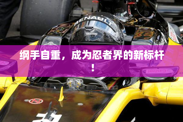 纲手自重，成为忍者界的新标杆！