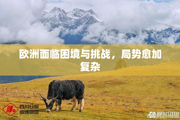 欧洲面临困境与挑战，局势愈加复杂