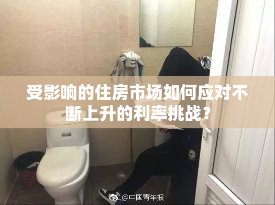 受影响的住房市场如何应对不断上升的利率挑战？