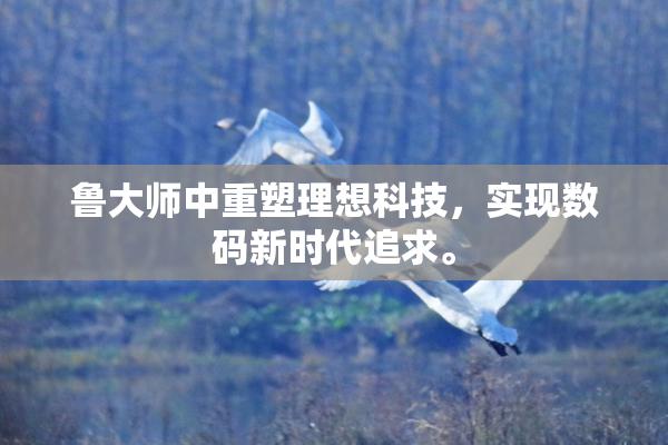 鲁大师中重塑理想科技，实现数码新时代追求。