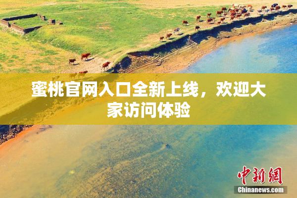 蜜桃官网入口全新上线，欢迎大家访问体验