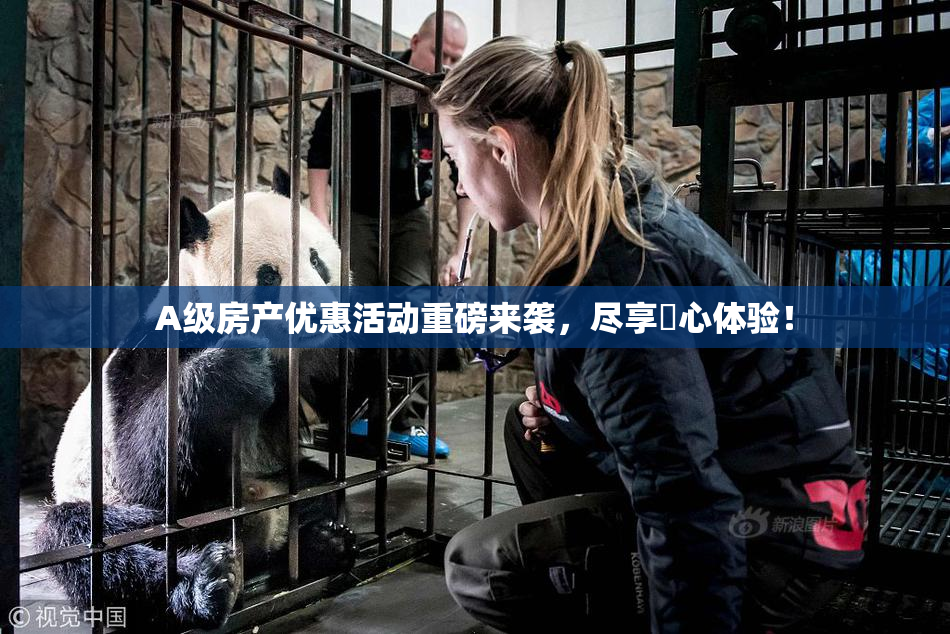 A级房产优惠活动重磅来袭，尽享婬心体验！