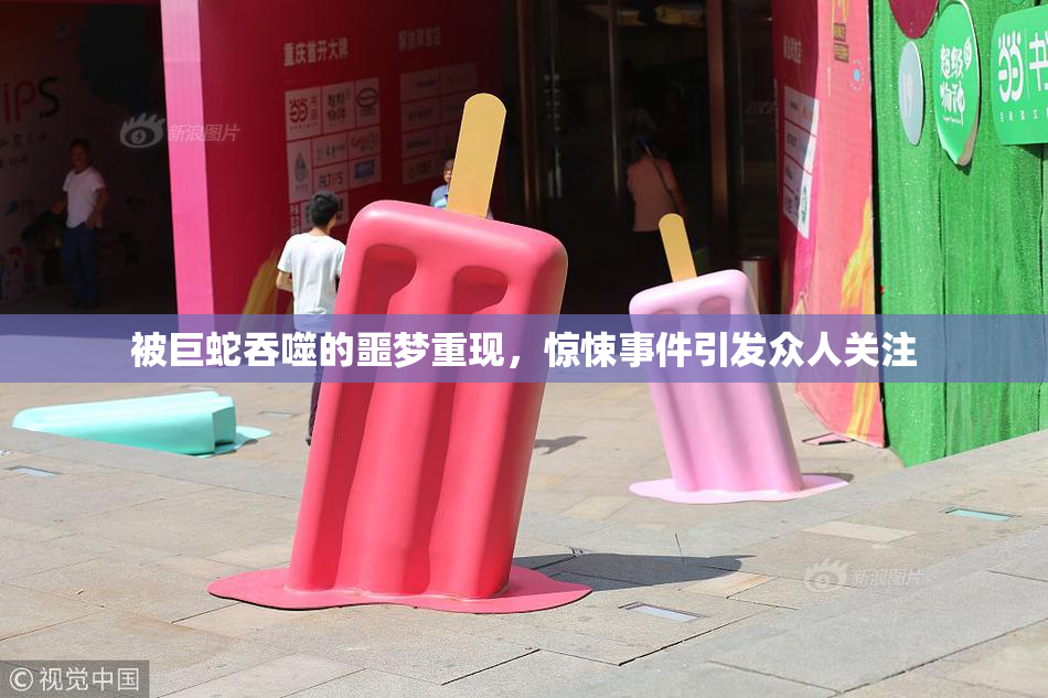 被巨蛇吞噬的噩梦重现，惊悚事件引发众人关注