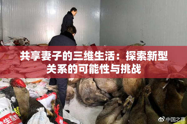 共享妻子的三维生活：探索新型关系的可能性与挑战
