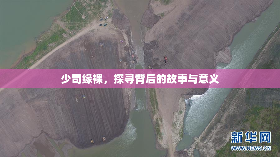 少司缘裸，探寻背后的故事与意义