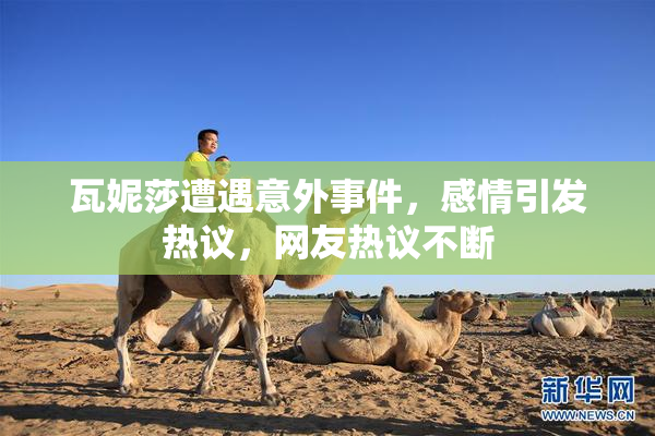瓦妮莎遭遇意外事件，感情引发热议，网友热议不断