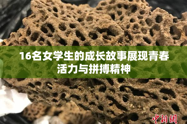 16名女学生的成长故事展现青春活力与拼搏精神