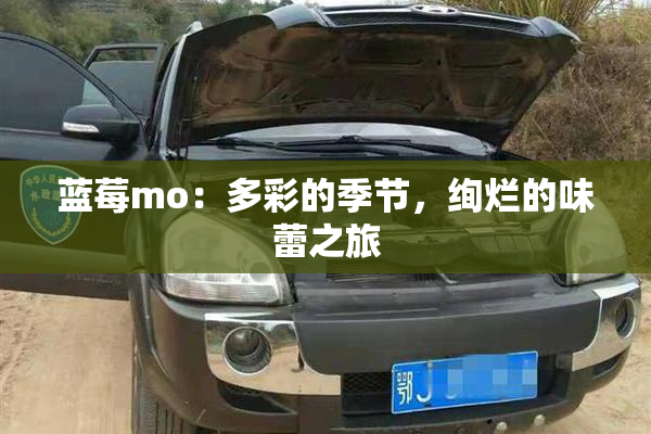 蓝莓mo：多彩的季节，绚烂的味蕾之旅