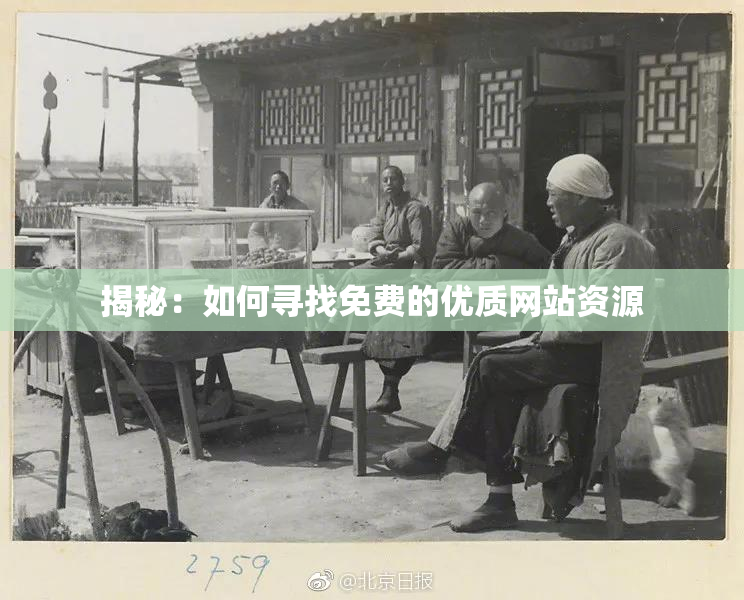 揭秘：如何寻找免费的优质网站资源