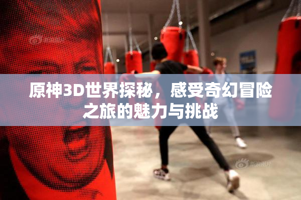 原神3D世界探秘，感受奇幻冒险之旅的魅力与挑战