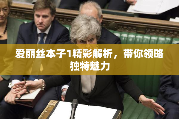 爱丽丝本子1精彩解析，带你领略独特魅力