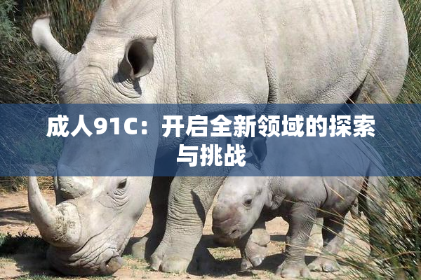 成人91C：开启全新领域的探索与挑战