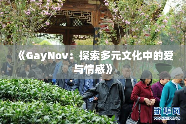 《GayNov：探索多元文化中的爱与情感》