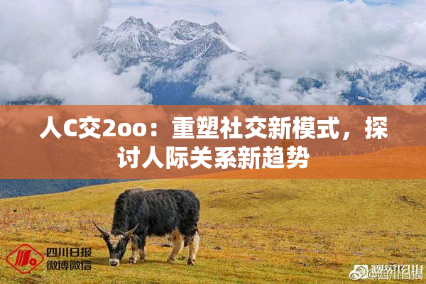 人C交2oo：重塑社交新模式，探讨人际关系新趋势