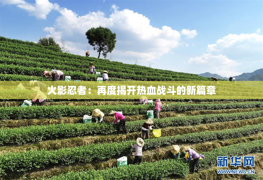 火影忍者：再度揭开热血战斗的新篇章