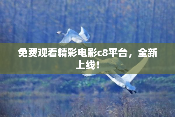 免费观看精彩电影c8平台，全新上线！