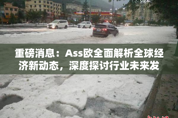 重磅消息：Ass欧全面解析全球经济新动态，深度探讨行业未来发展方向！