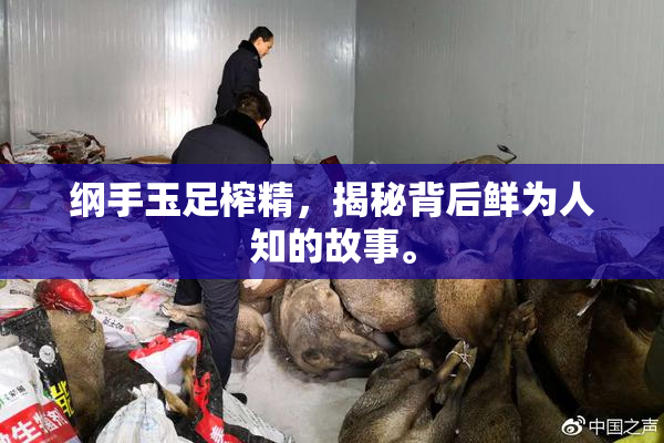 纲手玉足榨精，揭秘背后鲜为人知的故事。