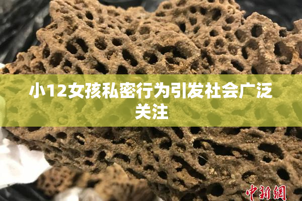 小12女孩私密行为引发社会广泛关注