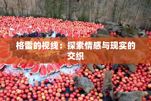 格雷的视线：探索情感与现实的交织