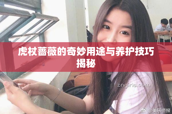 虎杖蔷薇的奇妙用途与养护技巧揭秘