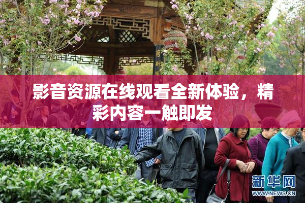 影音资源在线观看全新体验，精彩内容一触即发